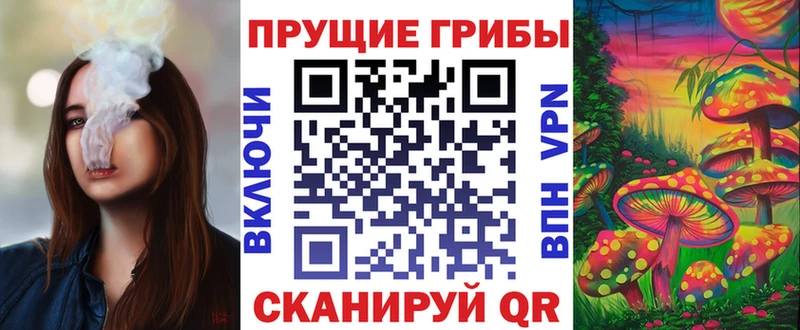 Галлюциногенные грибы MAGIC MUSHROOMS  МЕГА рабочий сайт  Чегем 